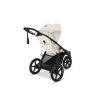 95342 29 cybex avi spin seashell beige