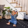 BABY EINSTEIN BABY EINSTEIN Kousátko s chrastítkem zebra Zen™ Shake-a-Shape bez BPA 0m+