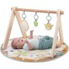 17448 ING PLAYGYM OW 27