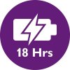 x 02 hour battery FEA rgb