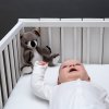 ZAZU Koala COCO 2