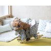 Kinderkraft Houpačka s melodií elephant gray Kinderkraft 2020