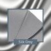 Inglesina Aptica  4v1 2020 Darwin Silk Grey