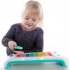 BABY EINSTEIN Hračka dřevěná hudební xylofon Magic Touch HAPE 12m+