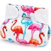 ak pat flamingo 2
