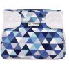 blue triangles PAT 1