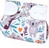 AK PAT koalas 2