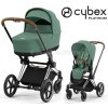 cybex priam brown chrome leaf green