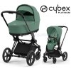 cybex priam black leaf green.