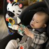 BABY EINSTEIN BABY EINSTEIN Hračka aktivní na C kroužku ZEN zebra 0m +