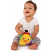 BABY EINSTEIN BABY EINSTEIN Hračka hudební světelná hvězdička Star Bright Symphony™ 0m+