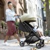 Graco Graco Myavo™ clover (Varianta Graco Myavo™ clover)
