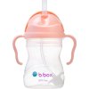 b.box Hrneček s brčkem - GELATO tutti frutti 240 ml