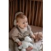 label label plysak hroch harvey s ivory