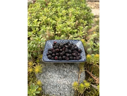 LYO Borůvky lesní 100g