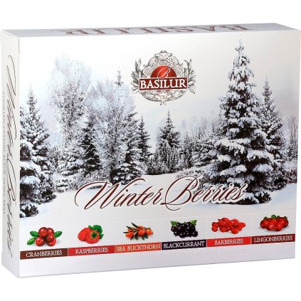 BASILUR Winter Berries Assorted přebal 60 gastro sáčků