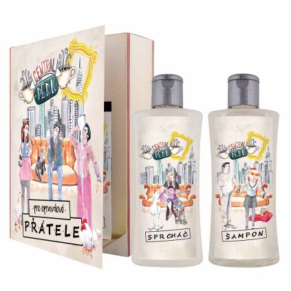 BC210197 KNIHA pratele C