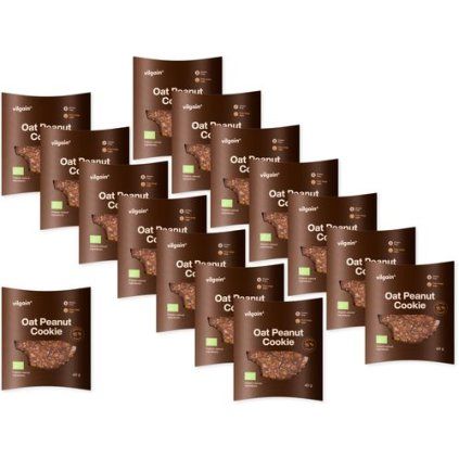 Vilgain Oat Peanut Cookie BIO - 40 g