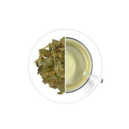 Ginkgo biloba, 50 g