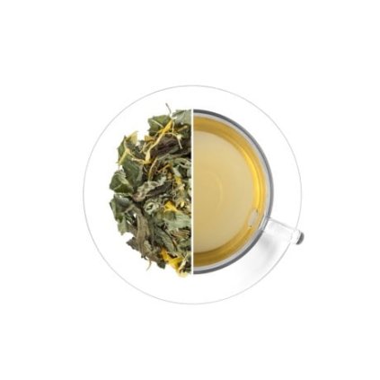 Klidná hlava "KLASA", 500 g