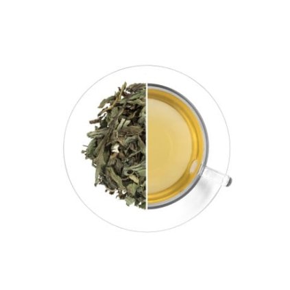 Máta peprná (list), 30 g