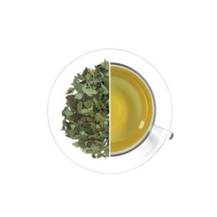 Meduňka lékařská ČR (list), 500 g