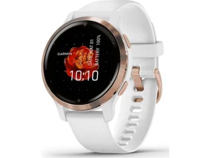 Garmin Venu 2S Rose Gold/White