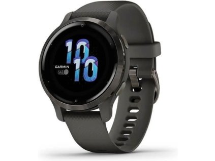 Garmin Venu 2S Slate/Black