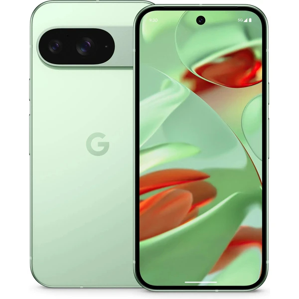 Google Pixel 9 12GB/128GB Wintergreen