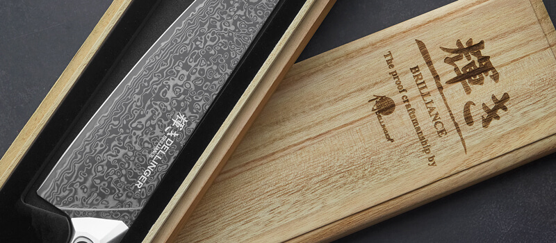 Malý nůž Chef/Gyuto 205 mm Dellinger Brilliance dárkové balení