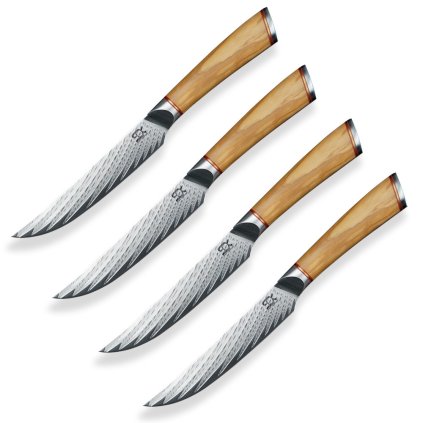 sada 4 steakovych nozu sok olive sunshine v darkove krabici