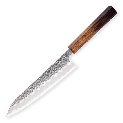 Gyuto Chef Knife Hokiyama Tosa Ichi Saiun Tsuchime 210 mm 1