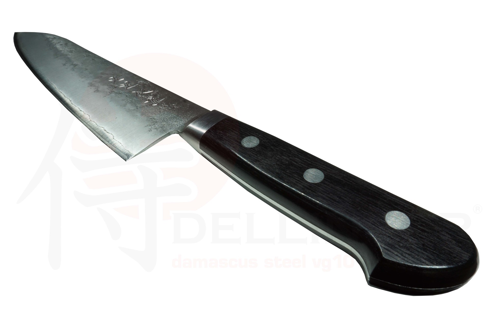 nůž Gyuto (Chef) 210 mm - Hokiyama - Sakon Ginga