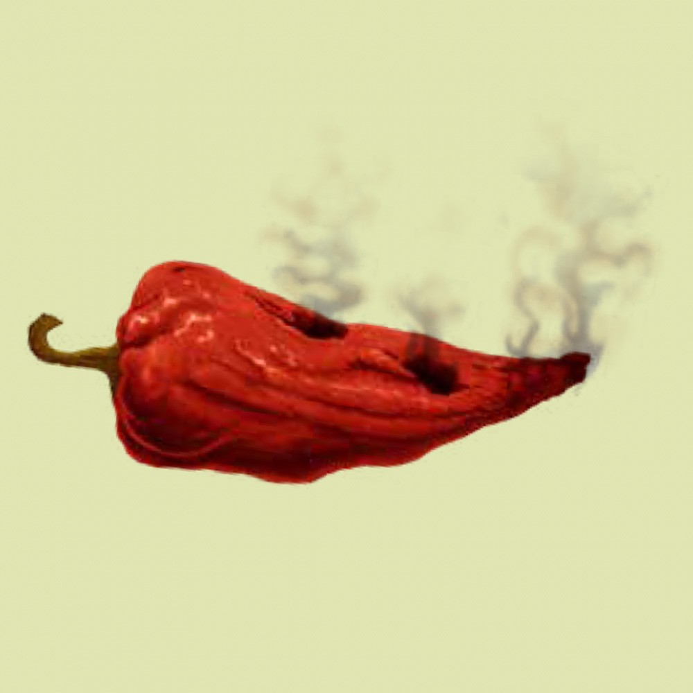 kořenící směs Rub Chipotle Chilli 80g