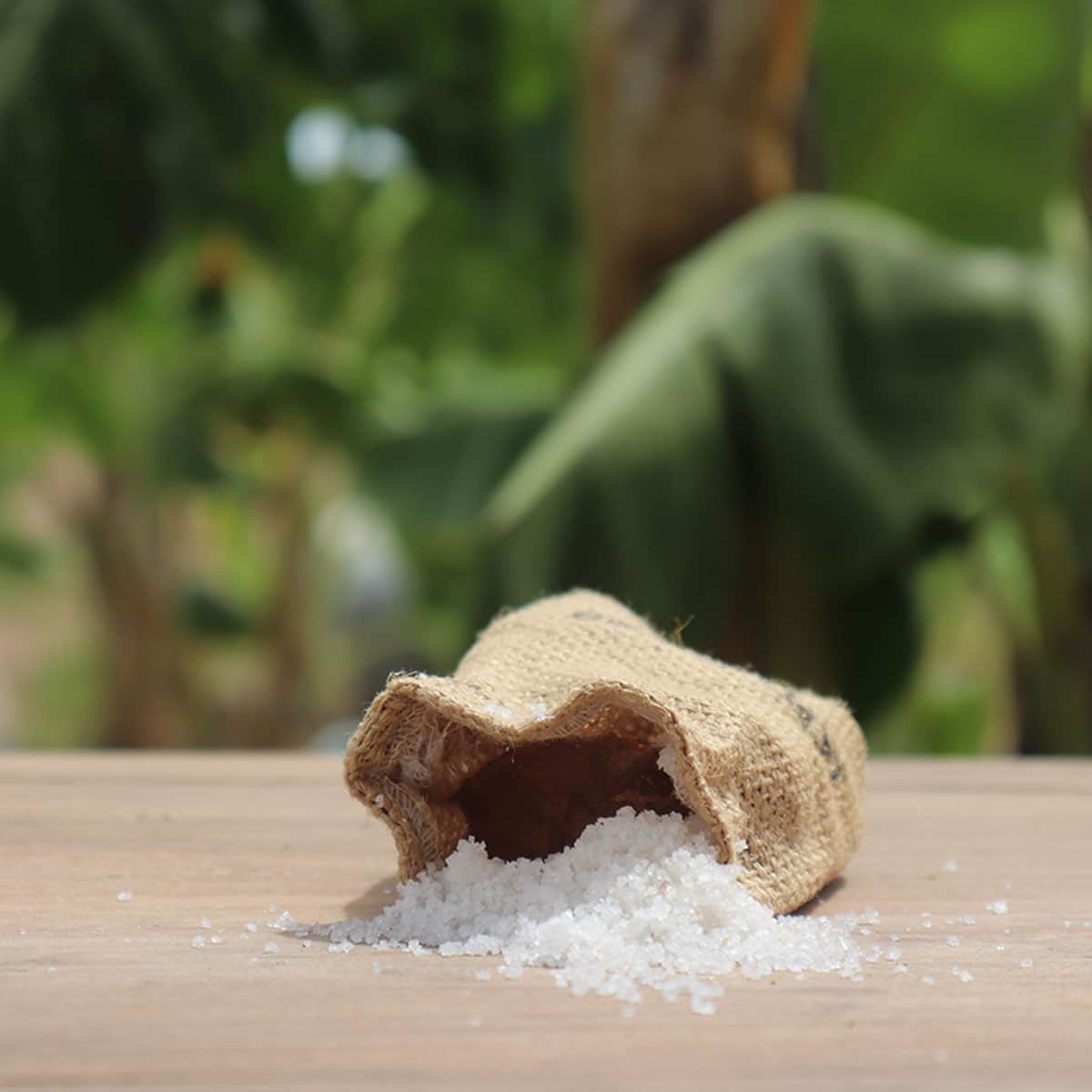 Flowers of Salt (Fleur de Sel) 500g