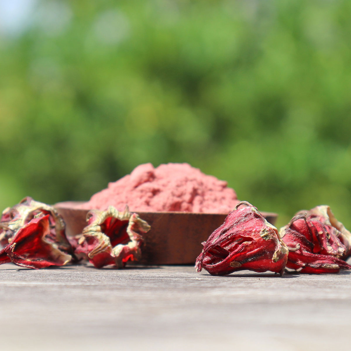 Hibiscus (ibišek) mletý 50g tubus