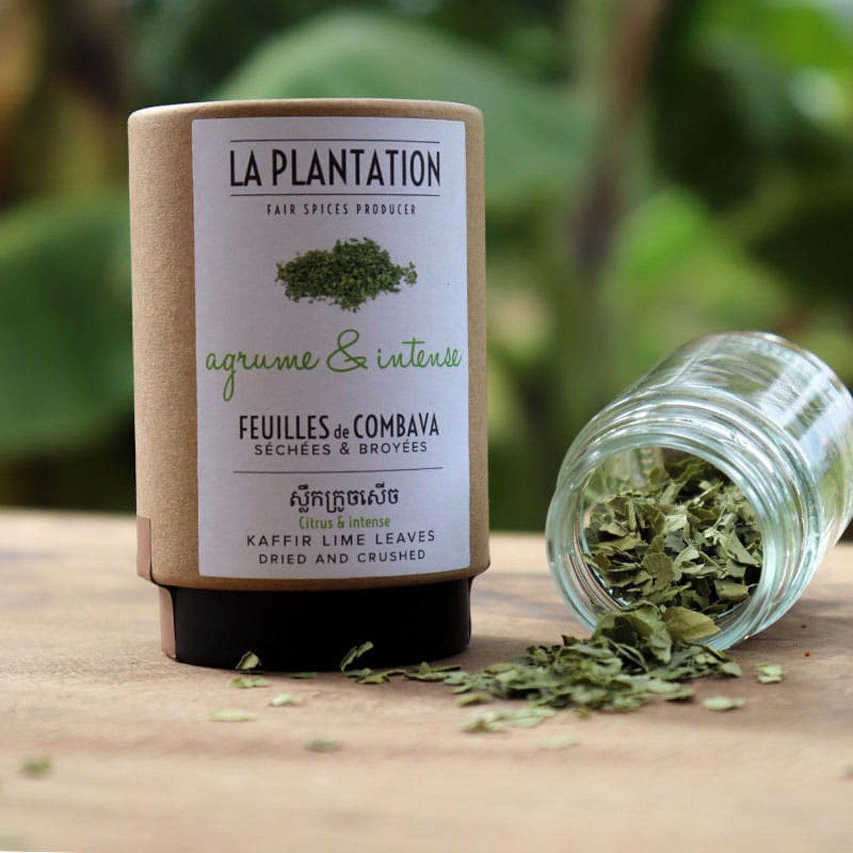 Kaffir Lime (Kafrová limeta) listy drcené 25g tubus