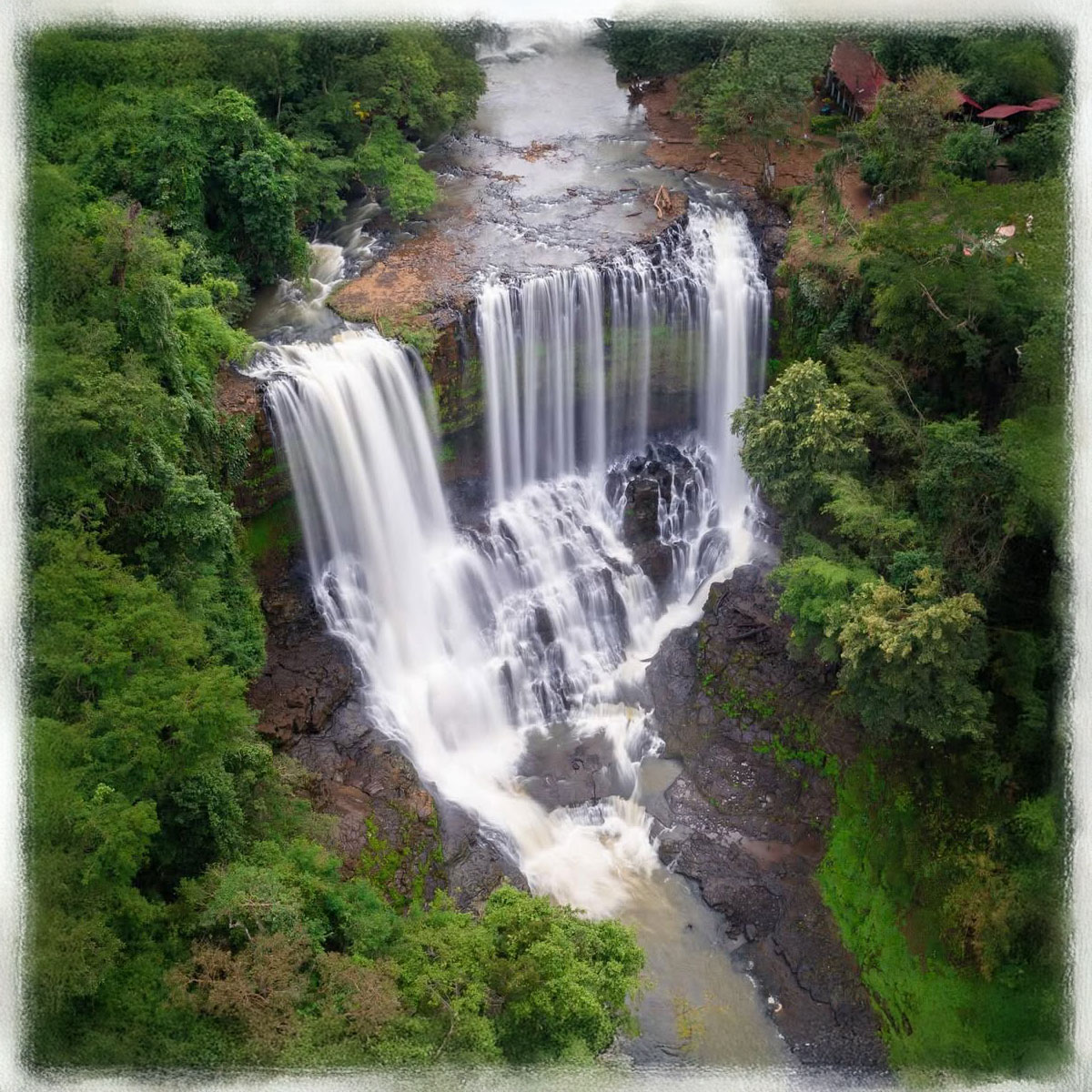 Kambodžský pepř z Mondulkiri černý 50g tubus