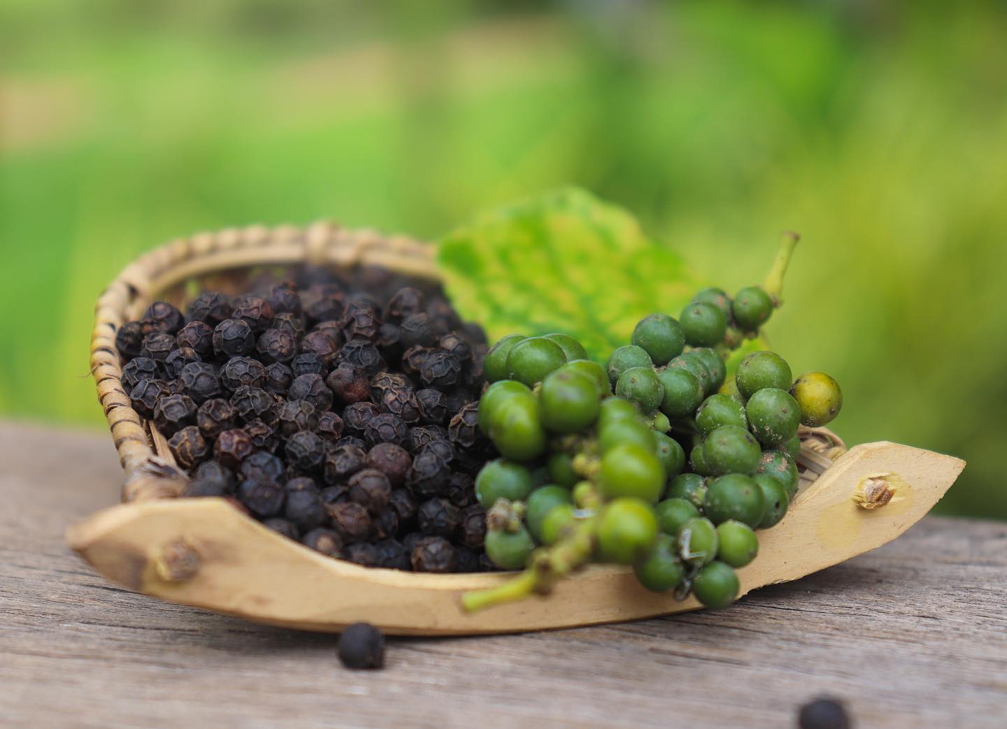 Kampotský pepř černý 50g tubus