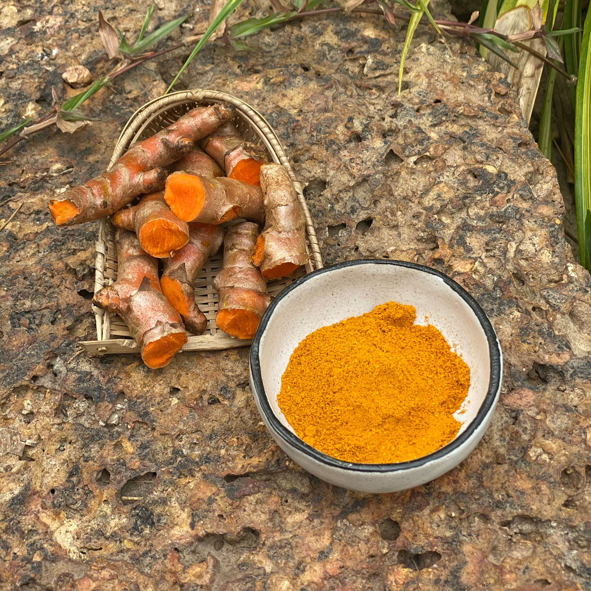 Kurkuma (Turmeric Powder) 100g