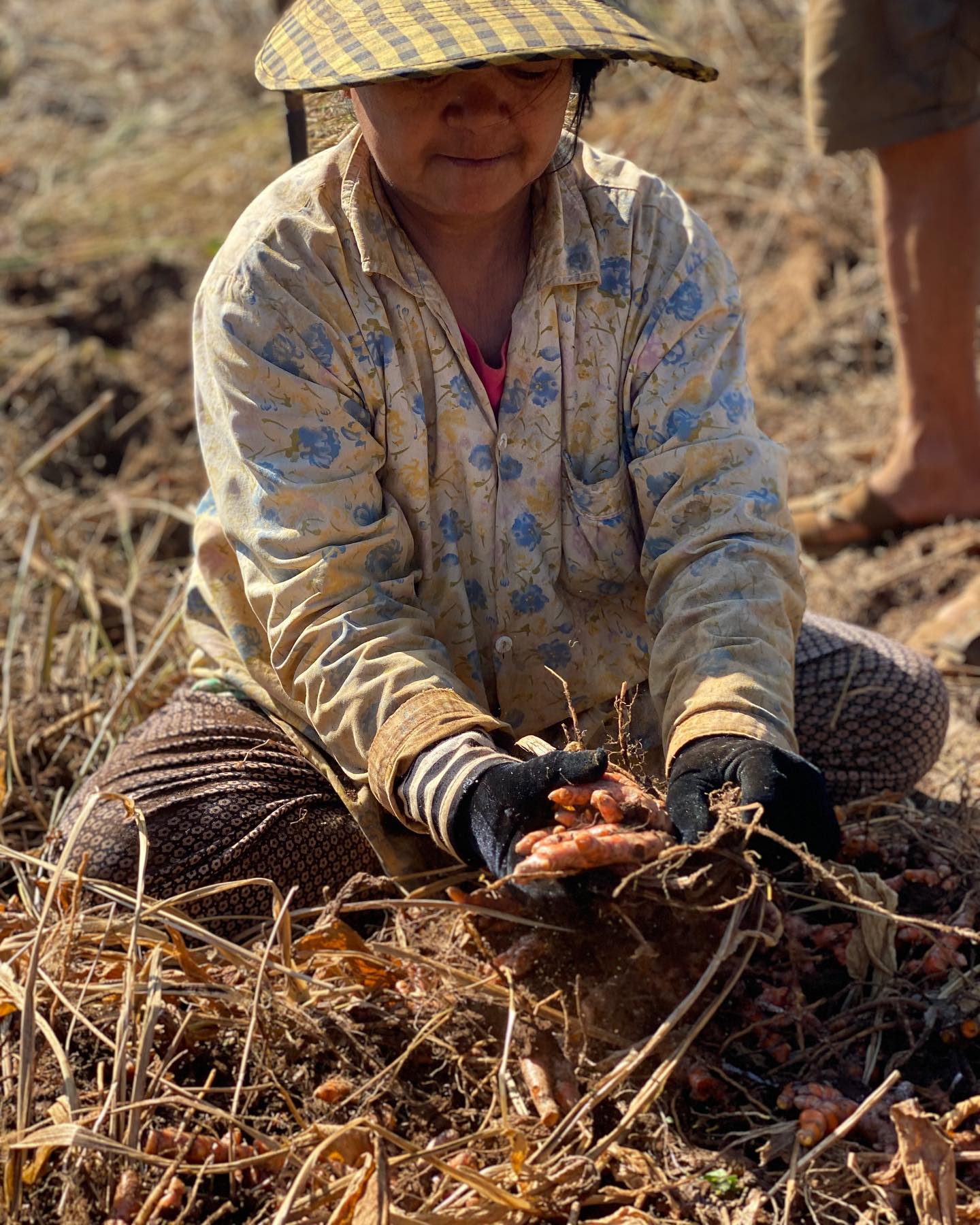 Kurkuma (Turmeric Powder) 100g