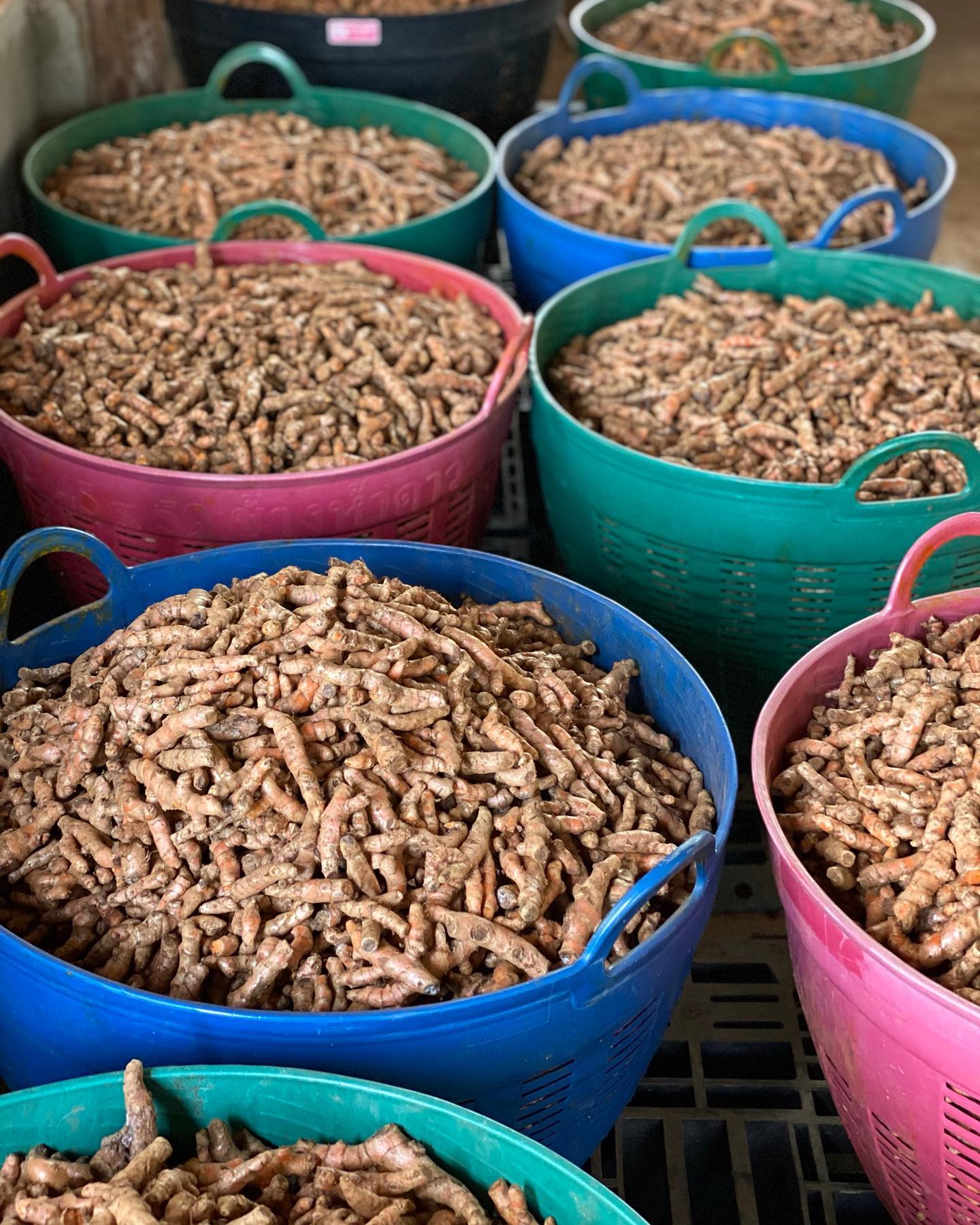 Kurkuma (Turmeric Powder) 100g