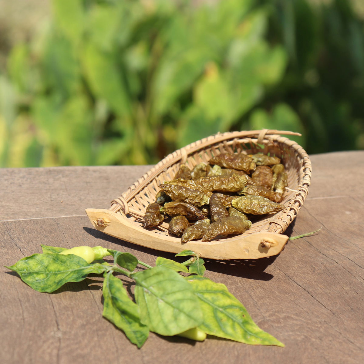 Zelené Bird Chili z Kambodži (celé) 15g tubus