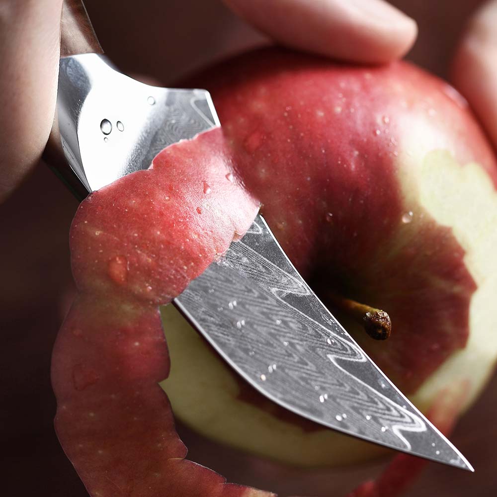 Loupací nůž Paring 75 mm Dellinger Longevity Damascus Edition