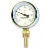 Thermometer radial