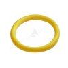 O-Ring GAS