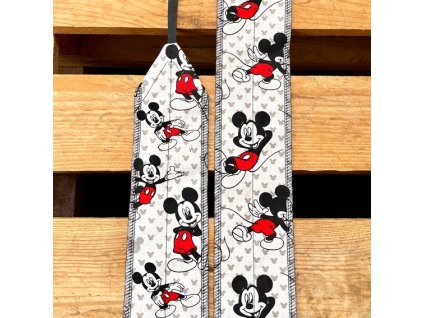 storms mickey