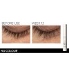 5494 6 nu color lash and brow landscape 5