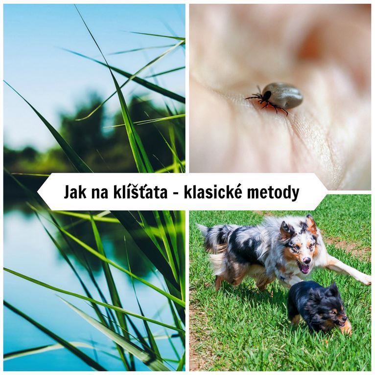 Jak na klíšťata - klasické metody