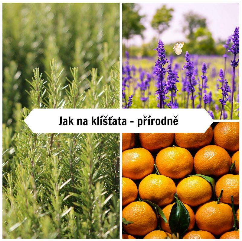 Jak na klíšťata - přírodně